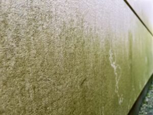 外壁の緑色汚染(苔・藻の繁殖)