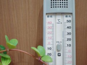 色によって熱の持ち方は違う